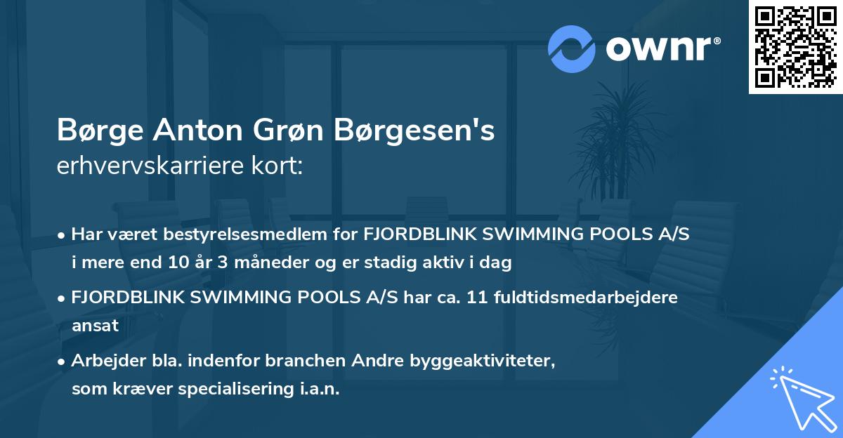 Børge Anton Grøn Børgesen's erhvervskarriere kort