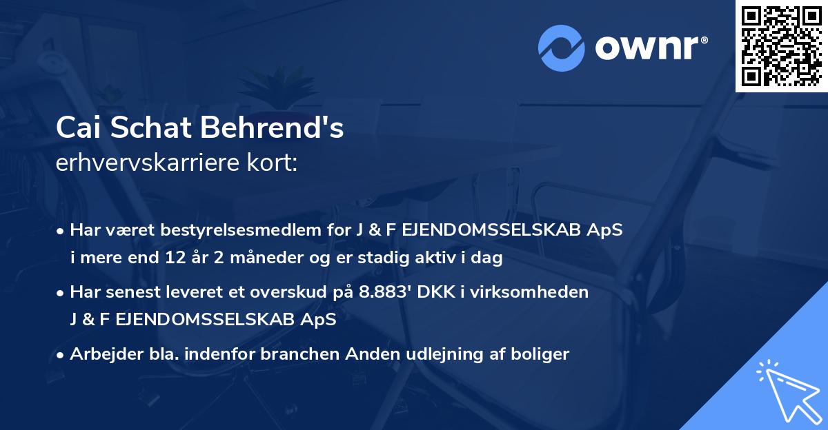 Cai Schat Behrend's erhvervskarriere kort