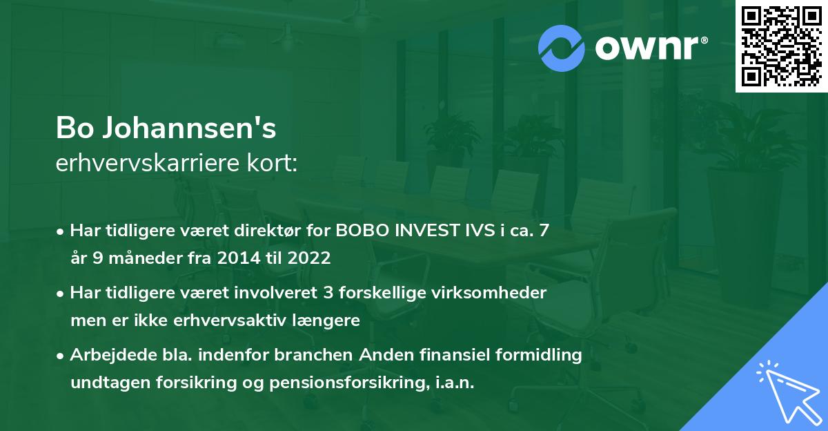 Bo Johannsen's erhvervskarriere kort
