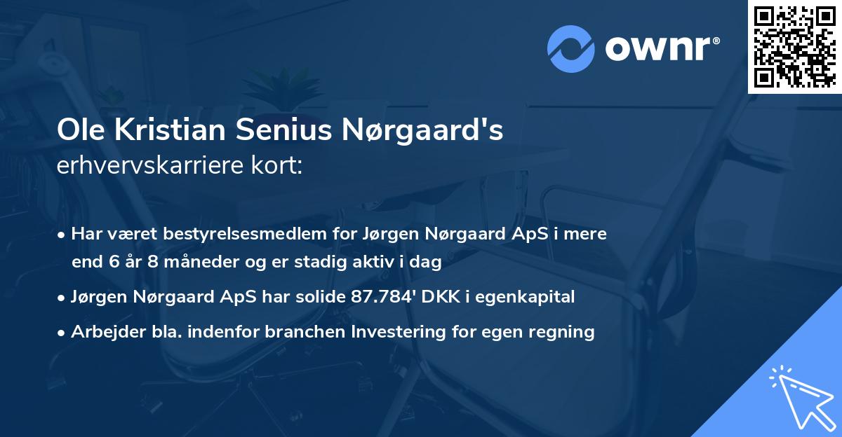 Ole Kristian Senius Nørgaard's erhvervskarriere kort