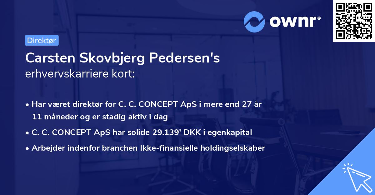 Carsten Skovbjerg Pedersen's erhvervskarriere kort