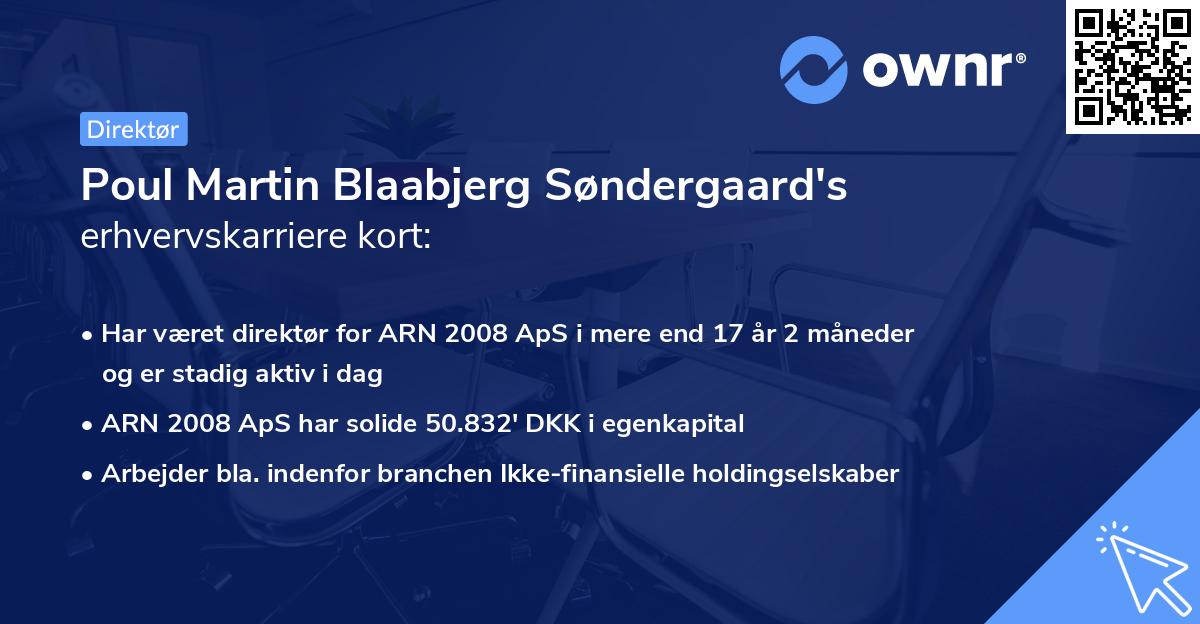 Poul Martin Blaabjerg Søndergaard's erhvervskarriere kort