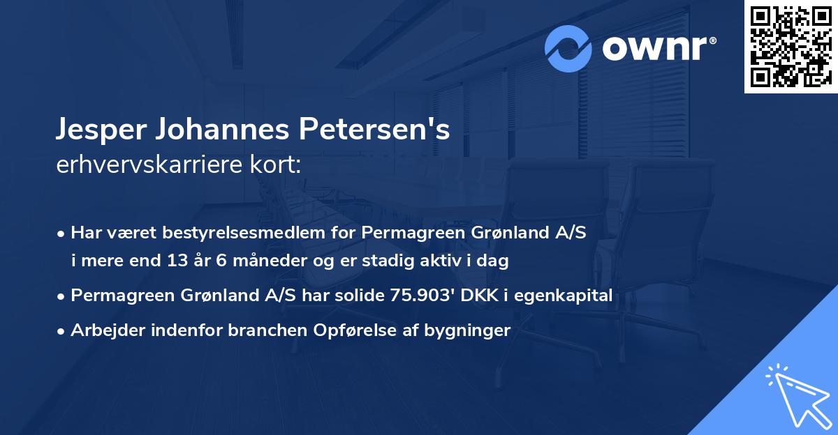 Jesper Johannes Petersen's erhvervskarriere kort