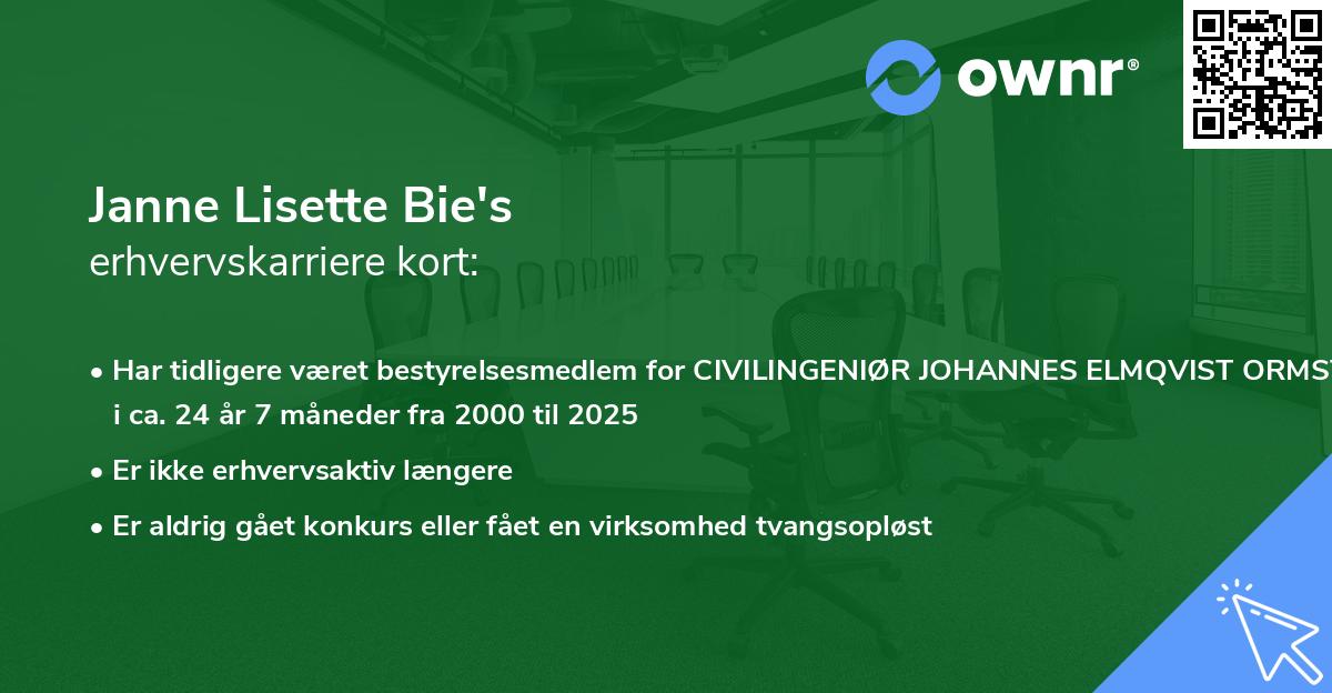 Janne Lisette Bie's erhvervskarriere kort