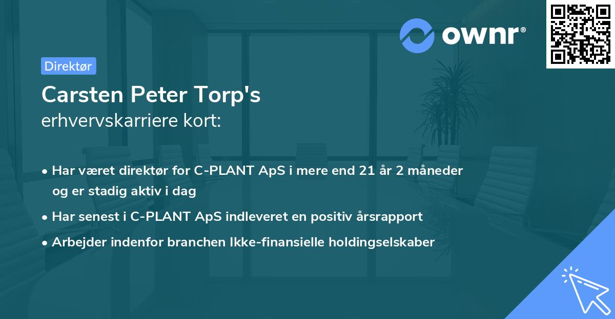 Carsten Peter Torp's erhvervskarriere kort