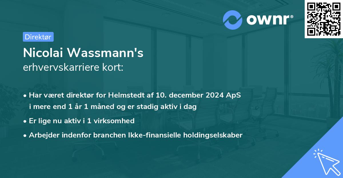 Nicolai Wassmann's erhvervskarriere kort