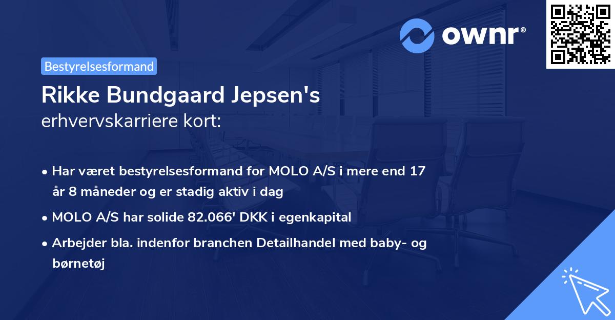 Rikke Bundgaard Jepsen's erhvervskarriere kort