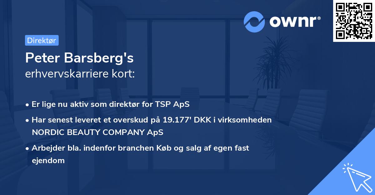 Peter Barsberg's erhvervskarriere kort