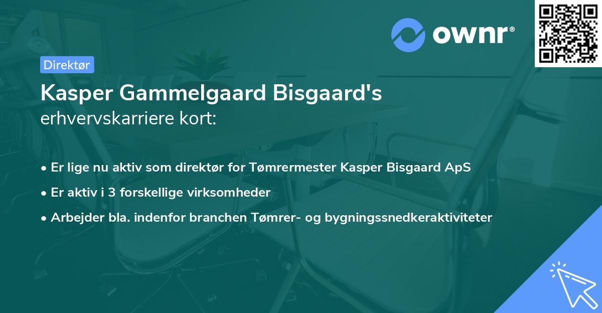 Kasper Gammelgaard Bisgaard's erhvervskarriere kort