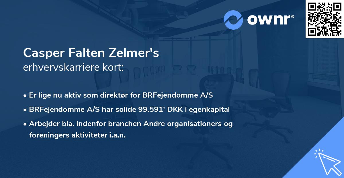 Casper Falten Zelmer's erhvervskarriere kort