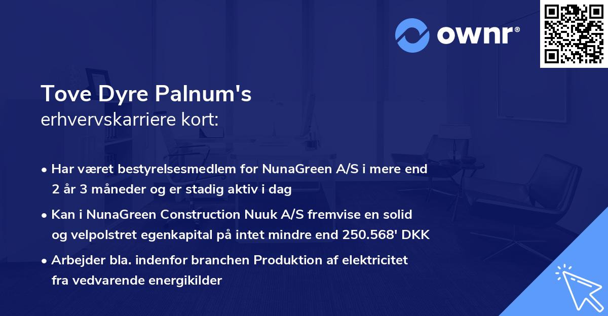 Tove Dyre Palnum's erhvervskarriere kort