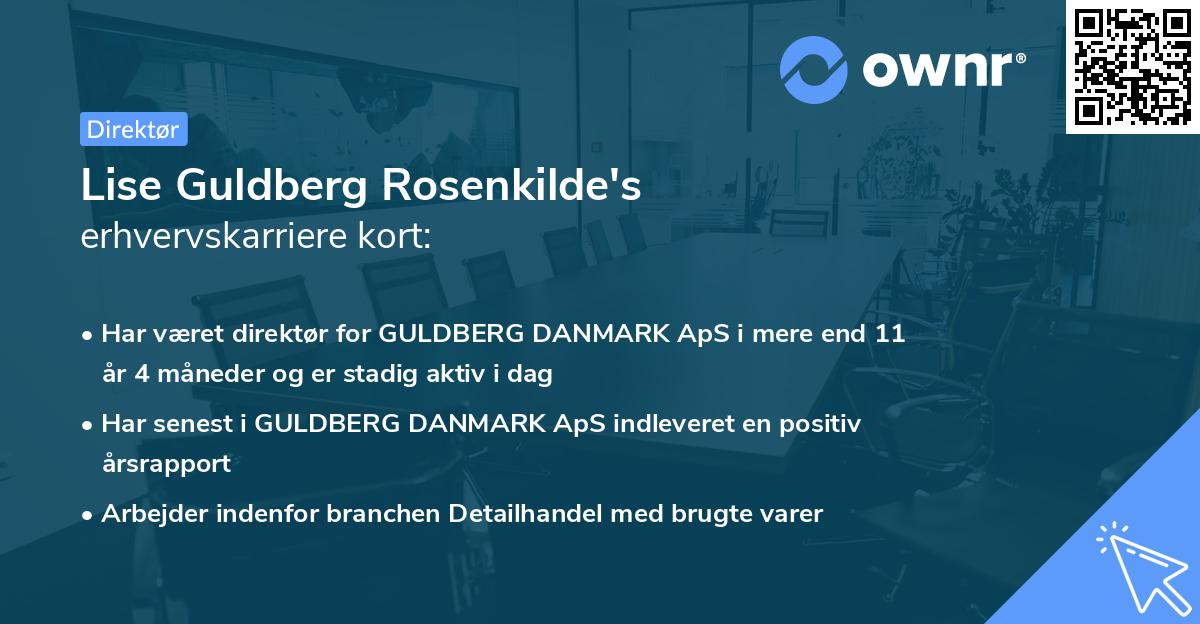 Lise Guldberg Rosenkilde's erhvervskarriere kort