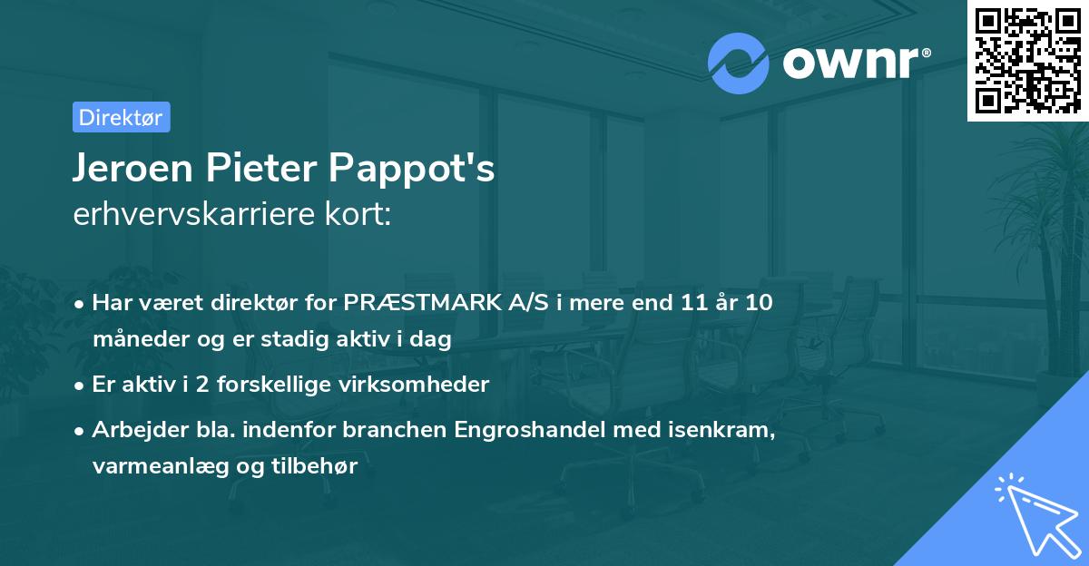 Jeroen Pieter Pappot's erhvervskarriere kort
