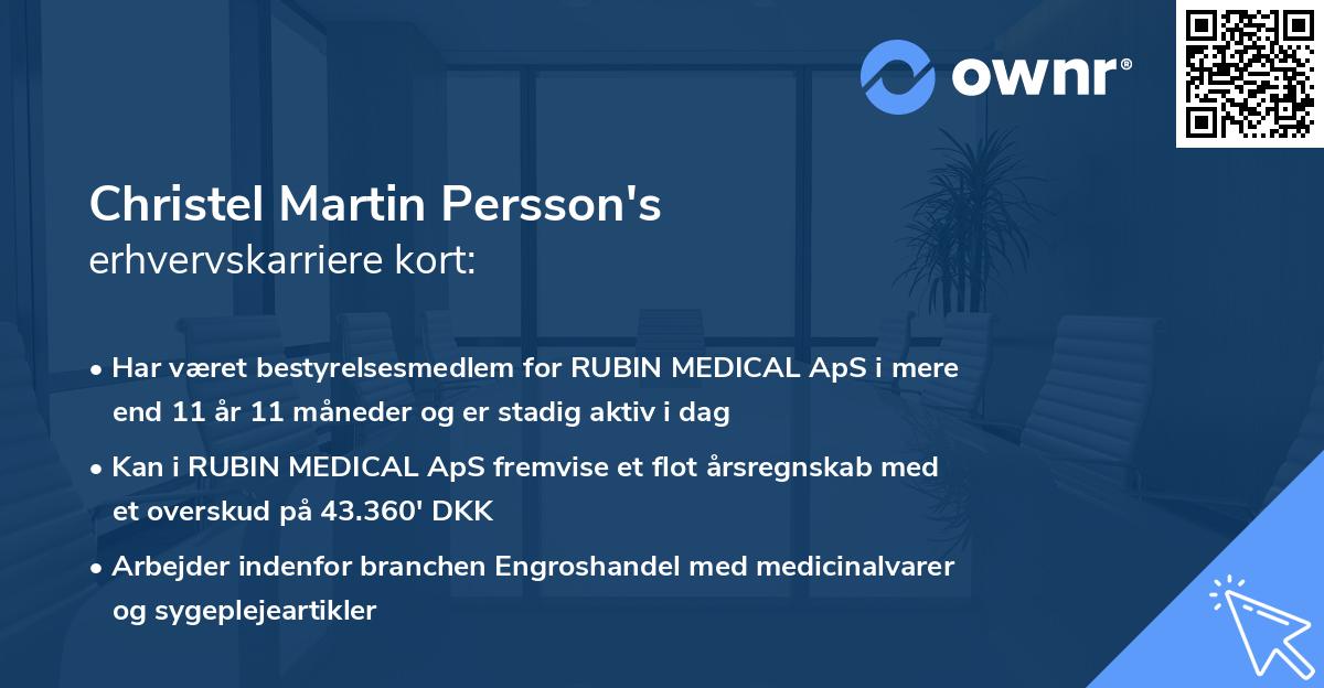 Christel Martin Persson's erhvervskarriere kort