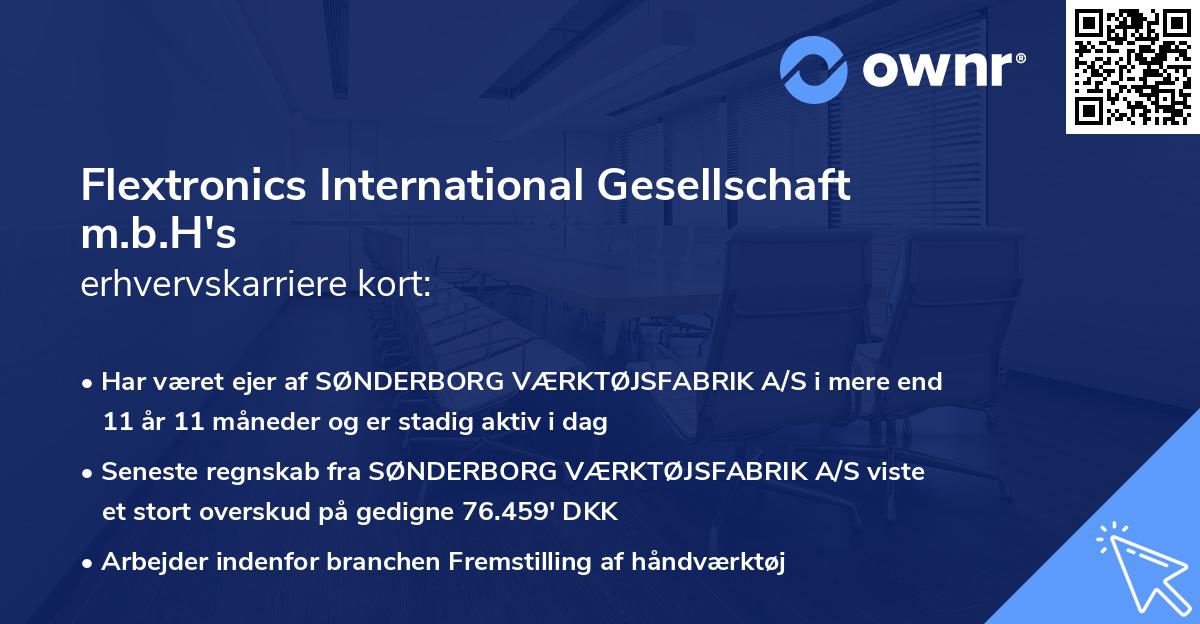 Flextronics International Gesellschaft m.b.H's erhvervskarriere kort