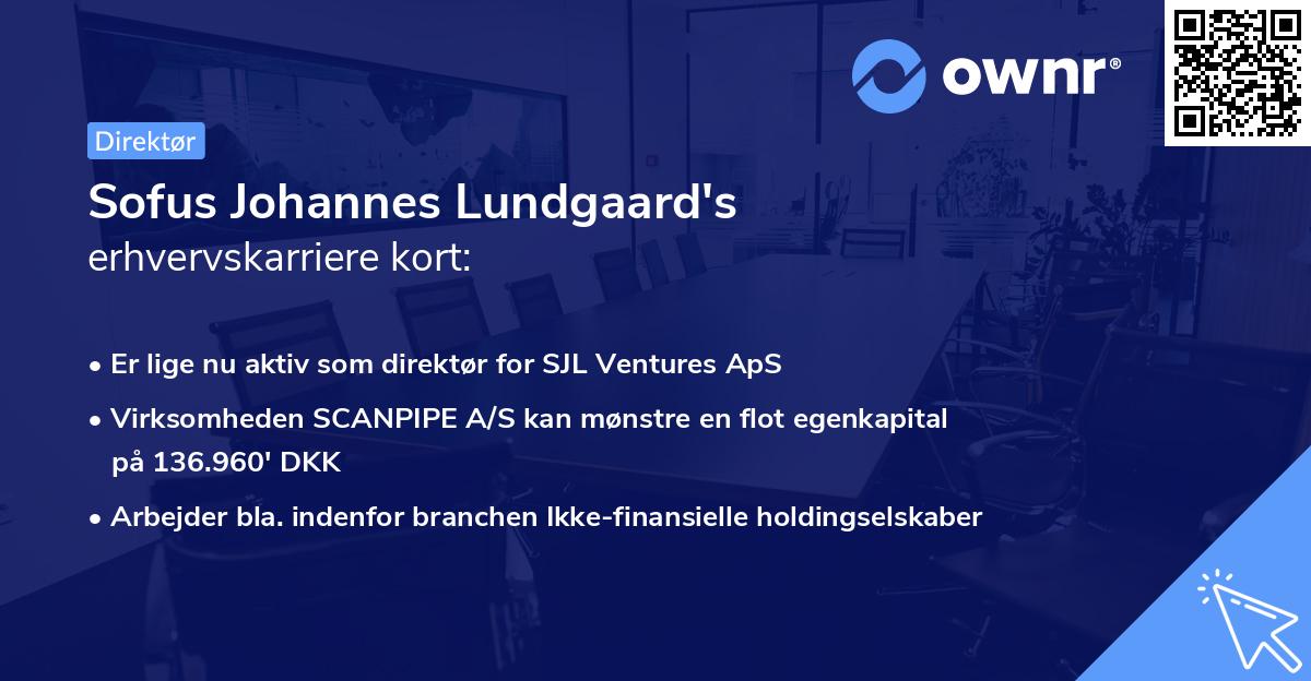Sofus Johannes Lundgaard's erhvervskarriere kort