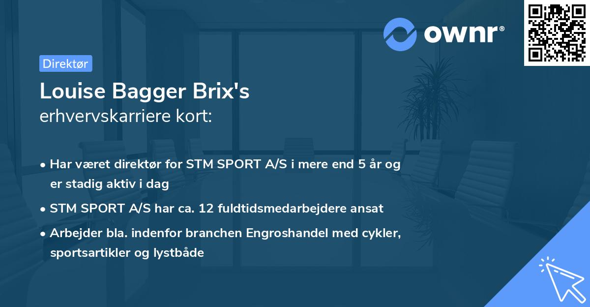 Louise Bagger Brix's erhvervskarriere kort