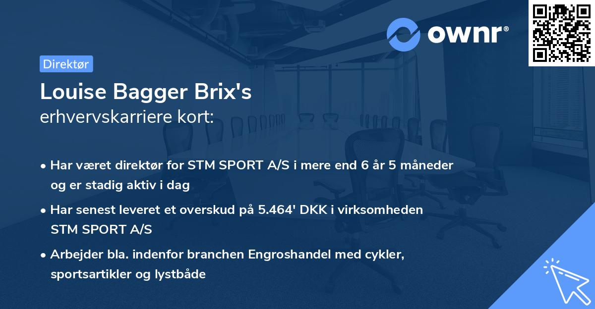 Louise Bagger Brix's erhvervskarriere kort
