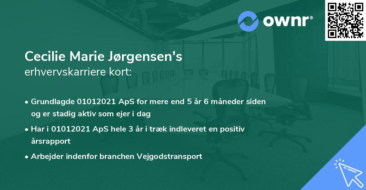 Cecilie Marie Jørgensen's erhvervskarriere kort