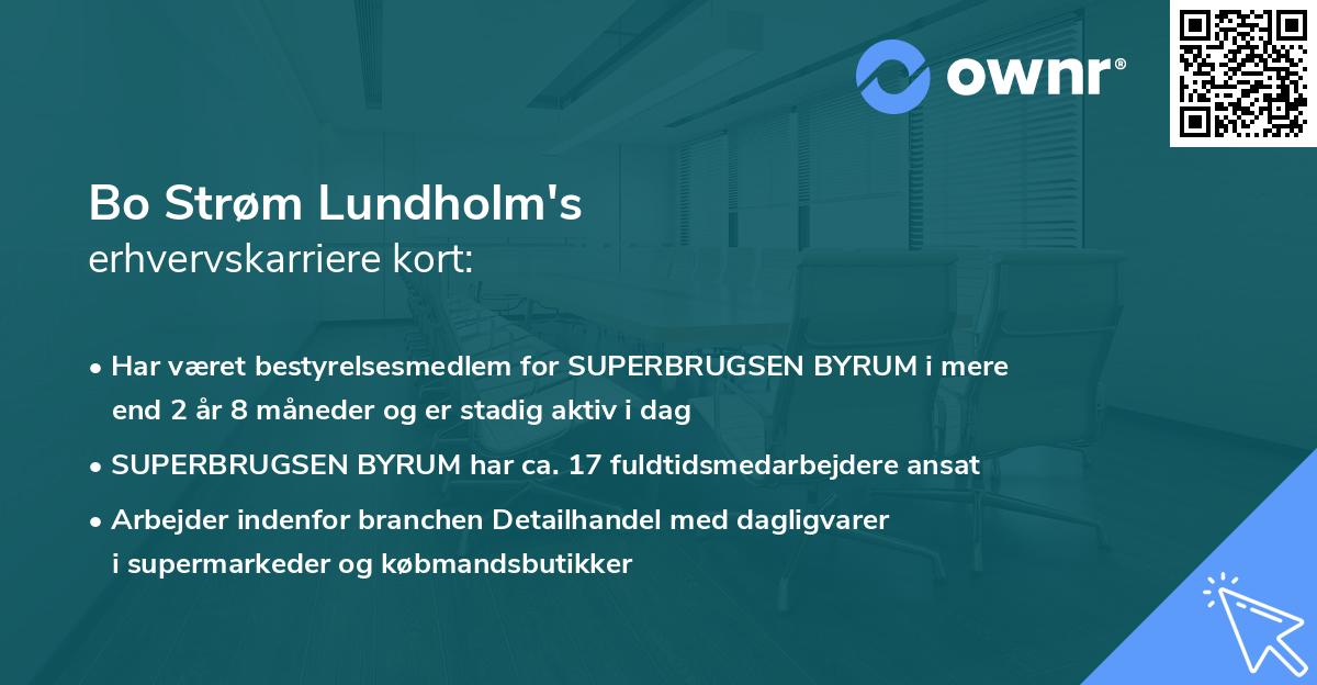 Bo Strøm Lundholm's erhvervskarriere kort