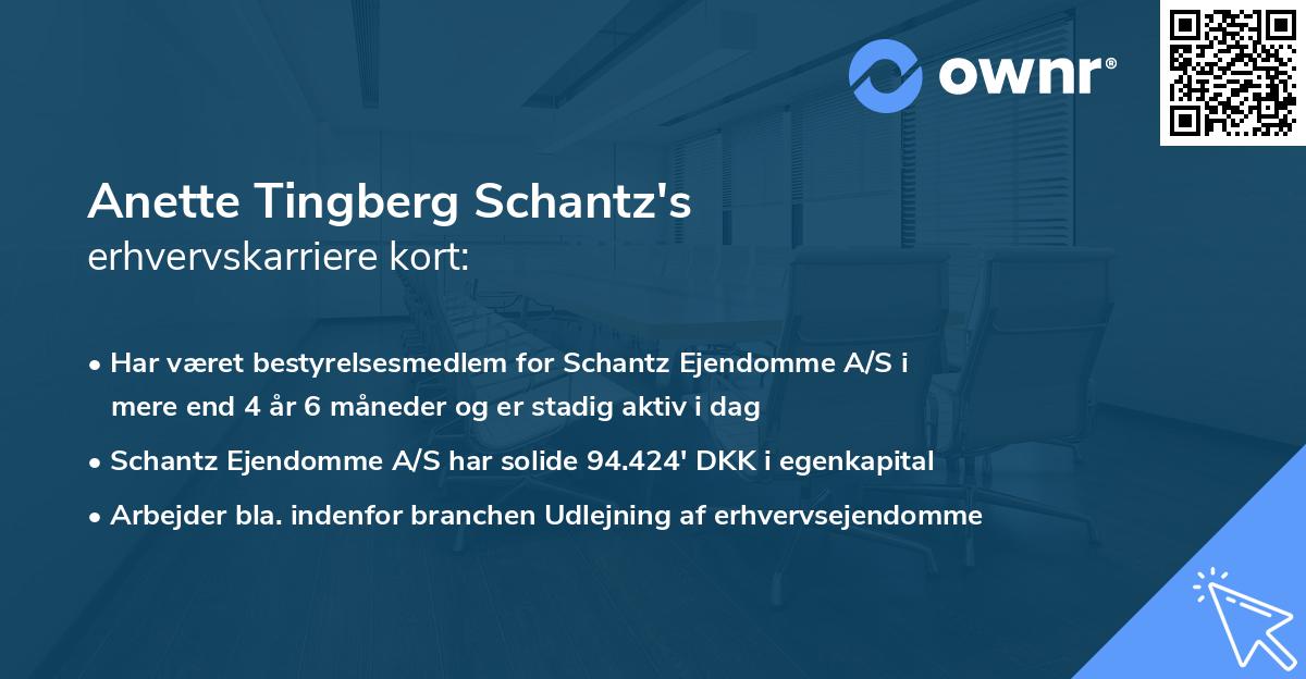 Anette Tingberg Schantz's erhvervskarriere kort