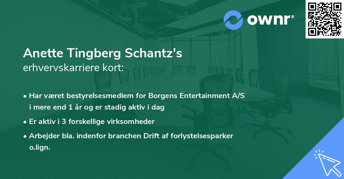 Anette Tingberg Schantz's erhvervskarriere kort