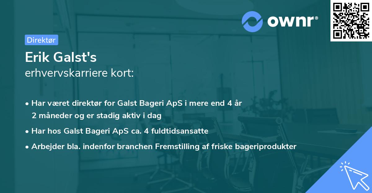 Erik Galst's erhvervskarriere kort