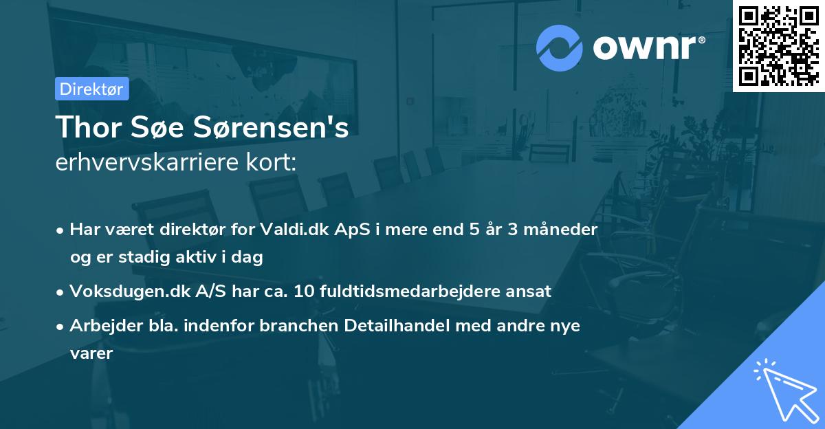 Thor Søe Sørensen's erhvervskarriere kort