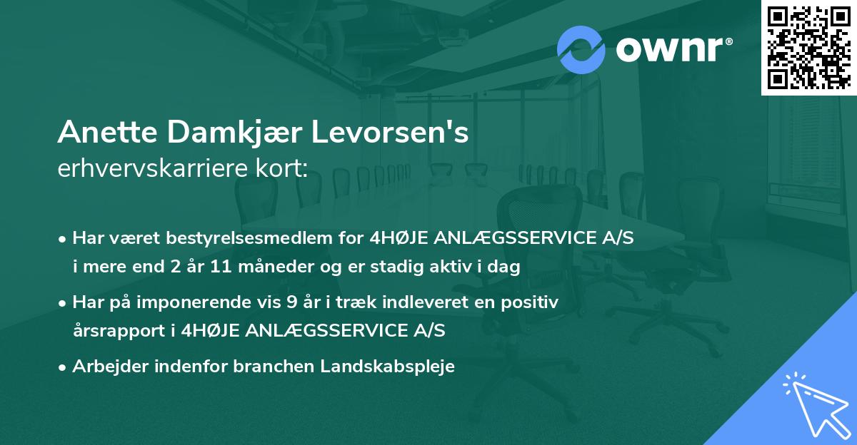 Anette Damkjær Levorsen's erhvervskarriere kort