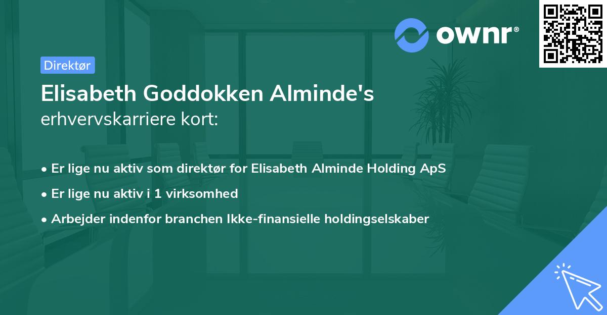 Elisabeth Goddokken Alminde's erhvervskarriere kort