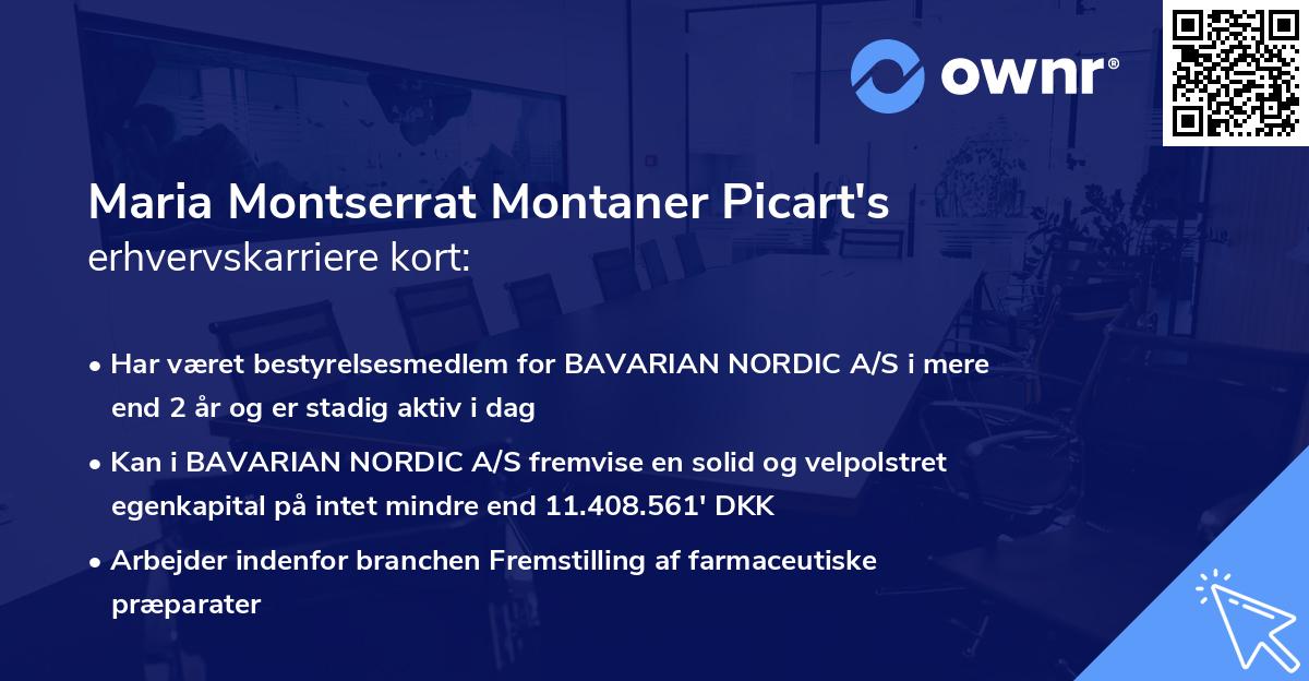 Maria Montserrat Montaner Picart's erhvervskarriere kort