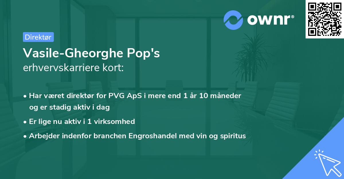 Vasile-Gheorghe Pop's erhvervskarriere kort