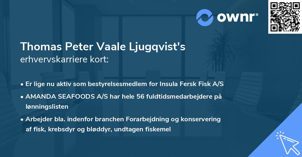 Thomas Peter Vaale Ljugqvist's erhvervskarriere kort
