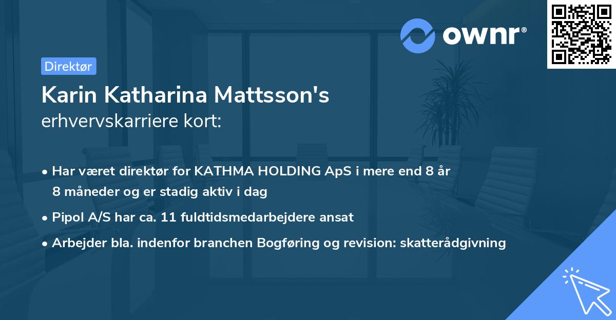 Karin Katharina Mattsson's erhvervskarriere kort