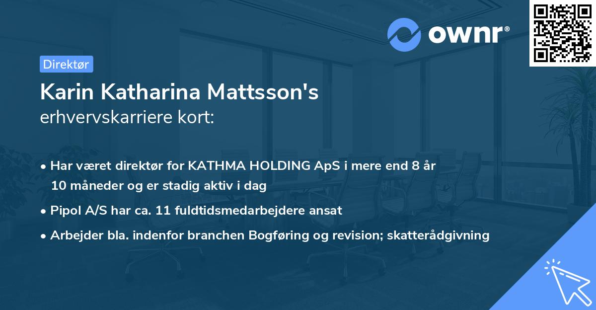 Karin Katharina Mattsson's erhvervskarriere kort