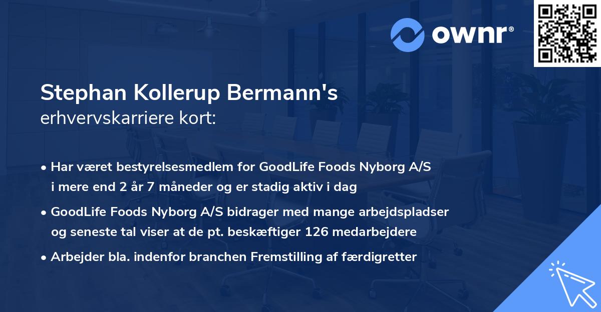Stephan Kollerup Bermann's erhvervskarriere kort
