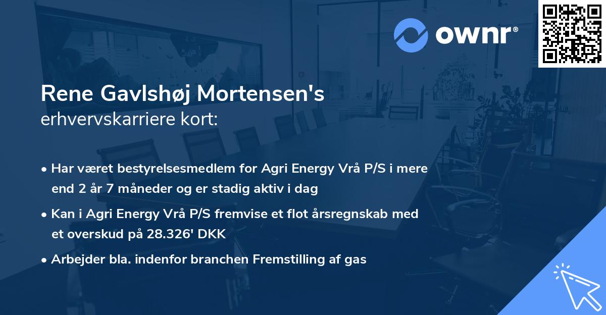 Rene Gavlshøj Mortensen's erhvervskarriere kort