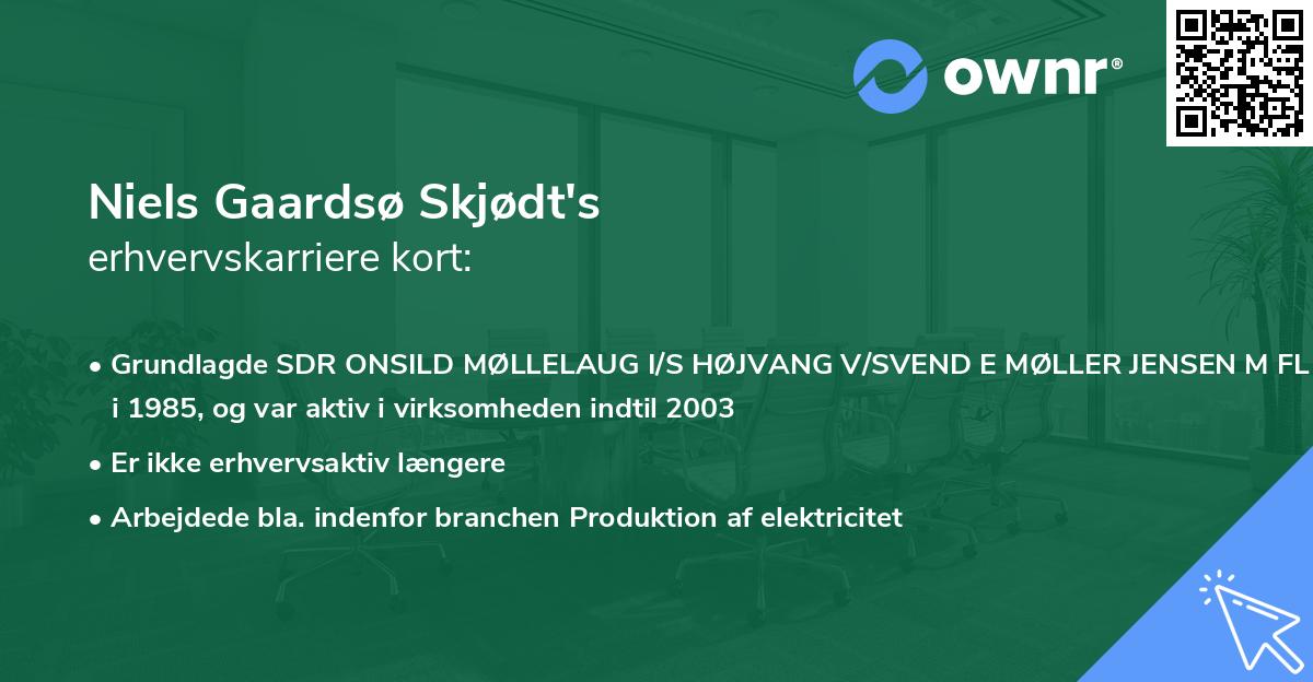 Niels Gaardsø Skjødt's erhvervskarriere kort