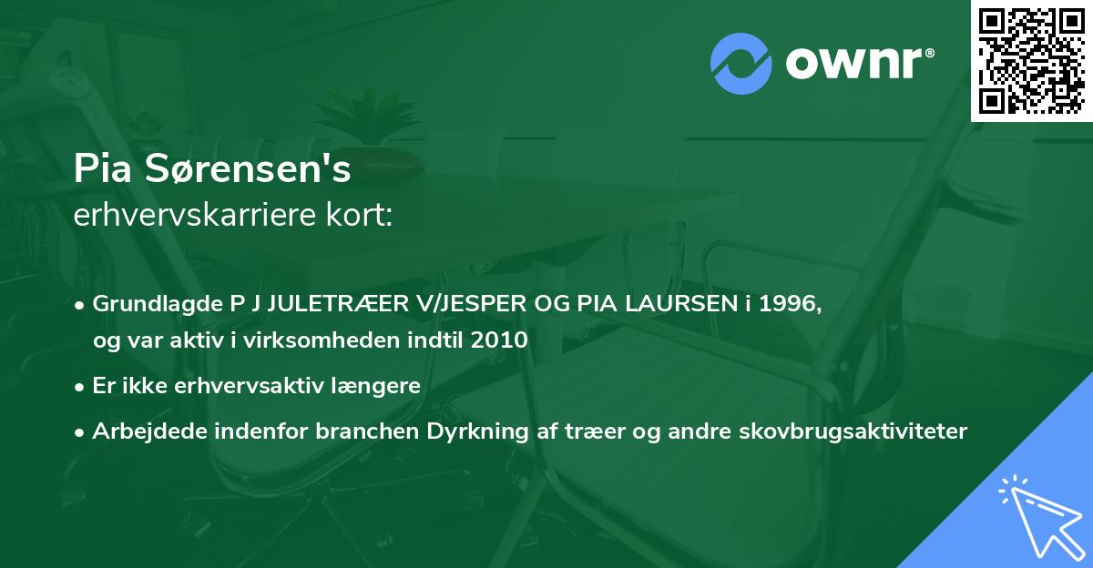 Pia Sørensen's erhvervskarriere kort