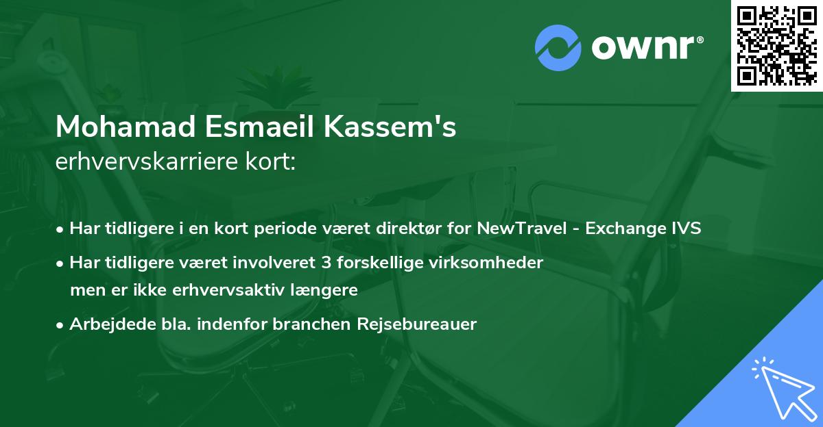 Mohamad Esmaeil Kassem's erhvervskarriere kort