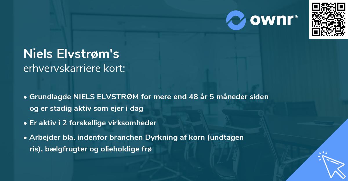 Niels Elvstrøm's erhvervskarriere kort