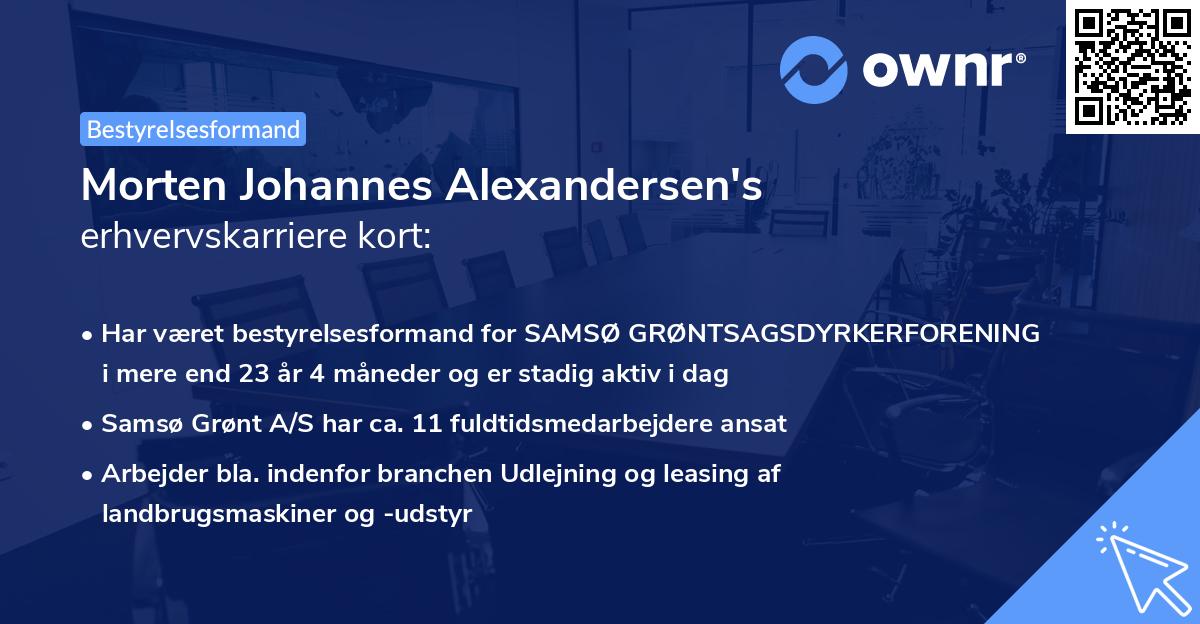 Morten Johannes Alexandersen's erhvervskarriere kort