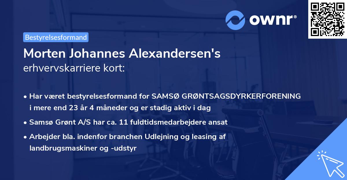 Morten Johannes Alexandersen's erhvervskarriere kort