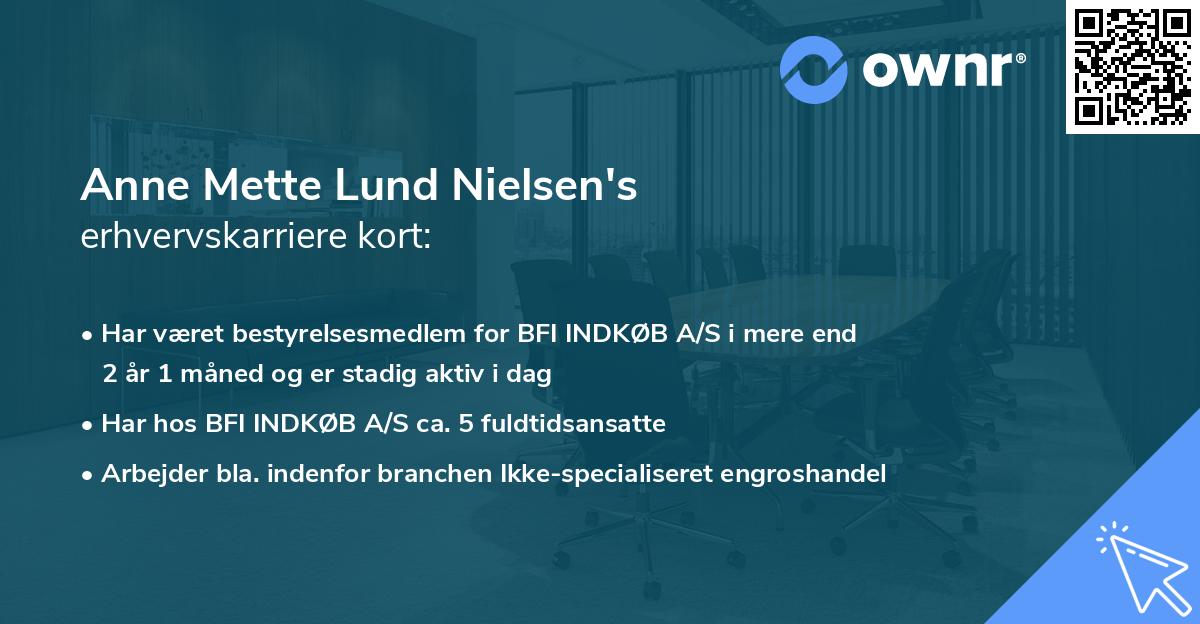 Anne Mette Lund Nielsen's erhvervskarriere kort
