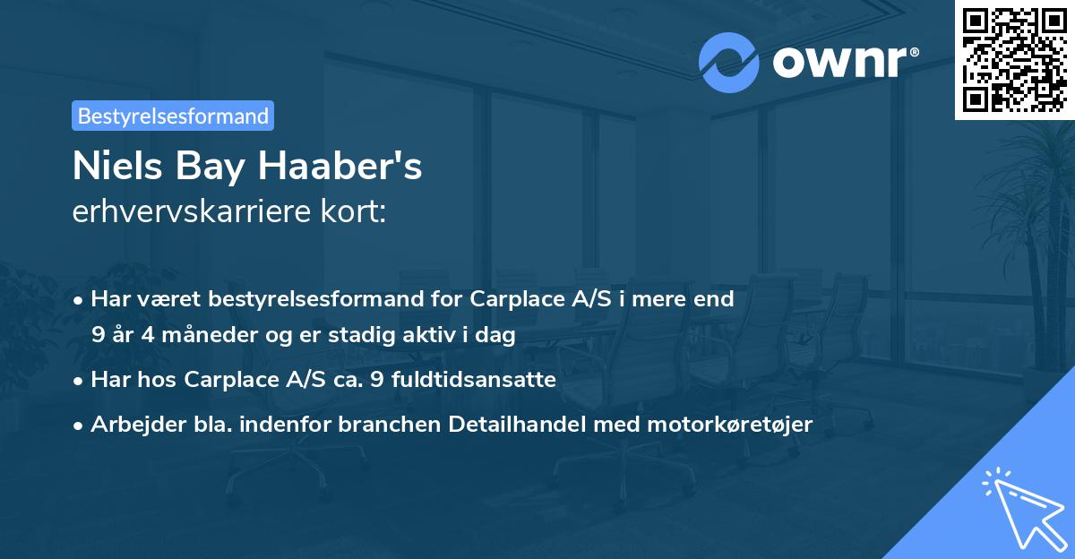 Niels Bay Haaber's erhvervskarriere kort