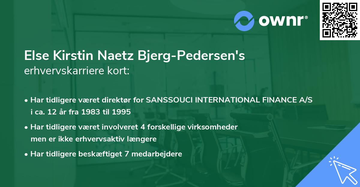Else Kirstin Naetz Bjerg-Pedersen's erhvervskarriere kort
