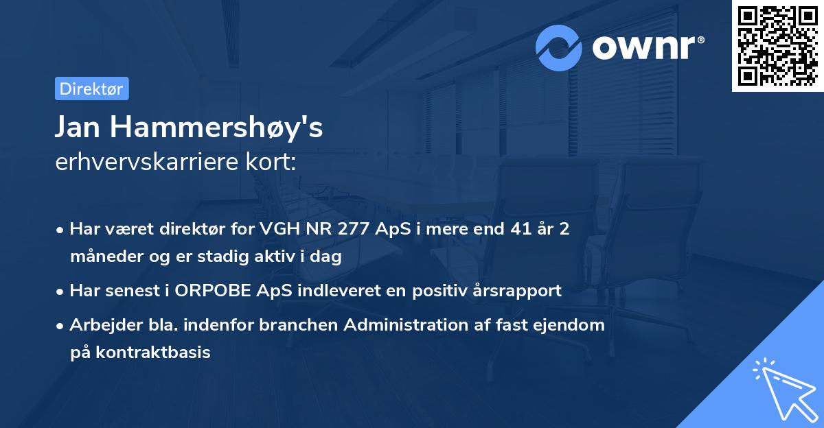 Jan Hammershøy's erhvervskarriere kort