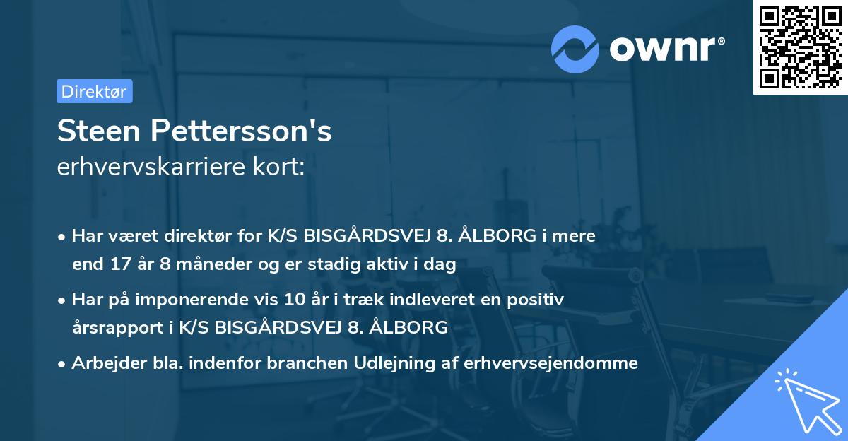 Steen Pettersson's erhvervskarriere kort