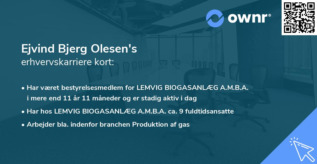 Ejvind Bjerg Olesen's erhvervskarriere kort