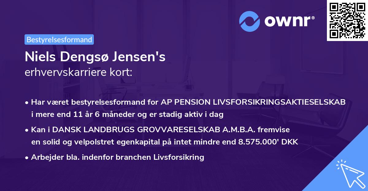 Niels Dengsø Jensen's erhvervskarriere kort